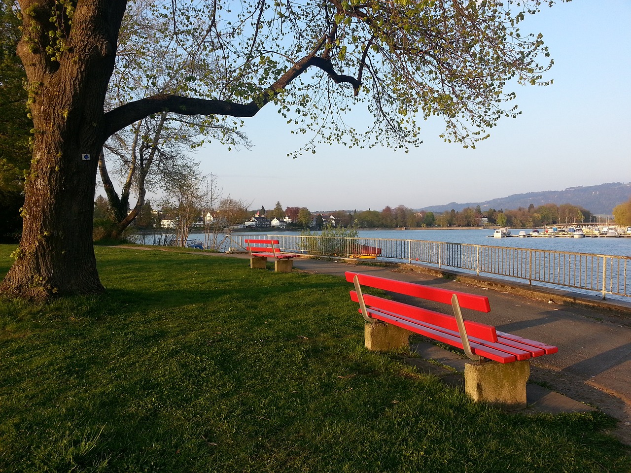 的责任心所 的责任心所