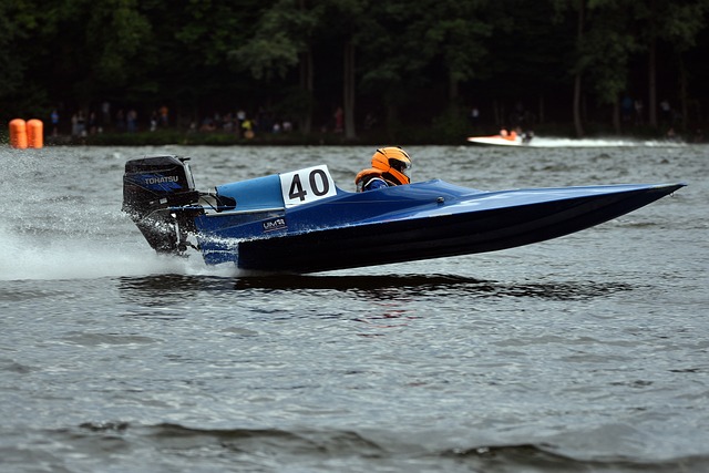 的精彩表现 的精彩表现