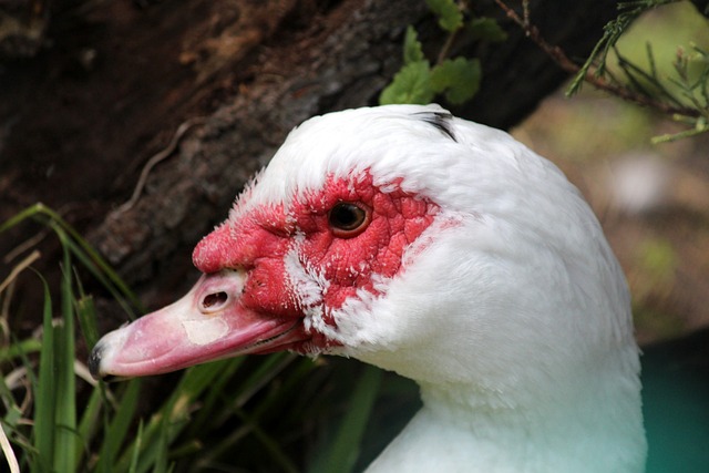 在經歷重重 在經歷重重