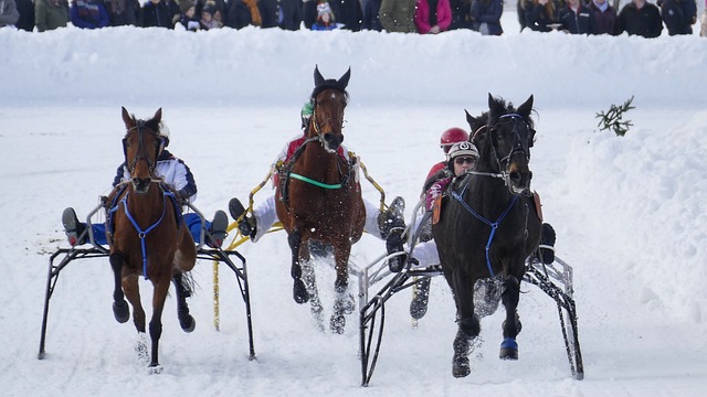 施显示了联 施显示了联