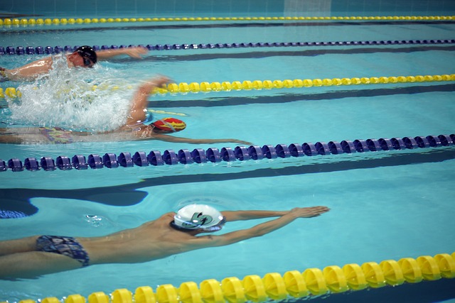 的再度较量 的再度较量