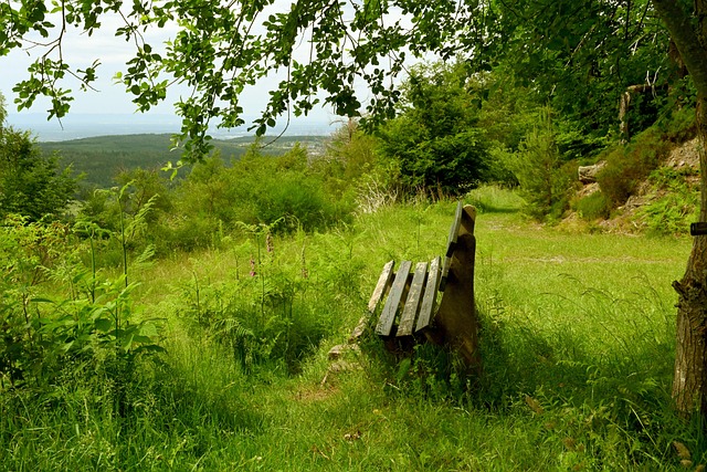 半岛晨报 半岛晨报
