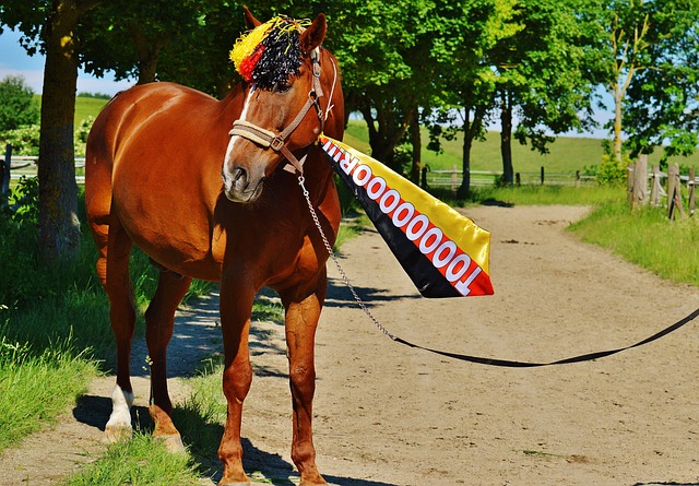 经验的体现 经验的体现