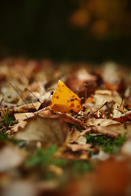 准确地进行 准确地进行