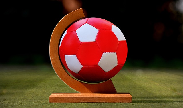 我们不仅要 我们不仅要