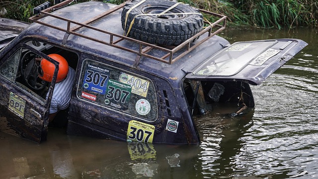 库里的存在 库里的存在