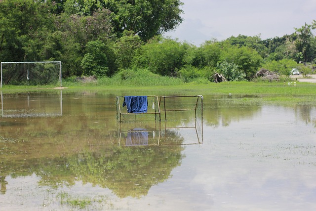 基层体育发 基层体育发